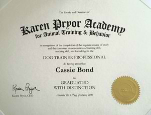 Karen Prior certificate